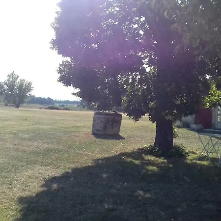 Le Petit Abre A Prunier *
