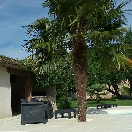 Le Petit Abre A Prunier Saint-Sauveur (Dordogne)