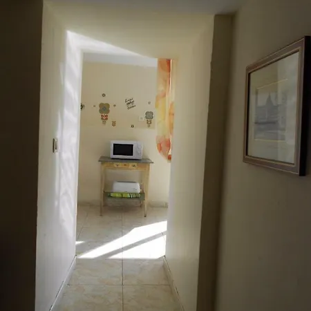 Le Petit Abre A Prunier Saint-Sauveur (Dordogne)