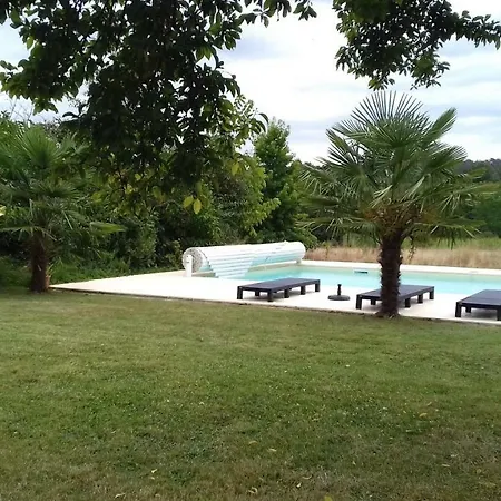 Le Petit Abre A Prunier *